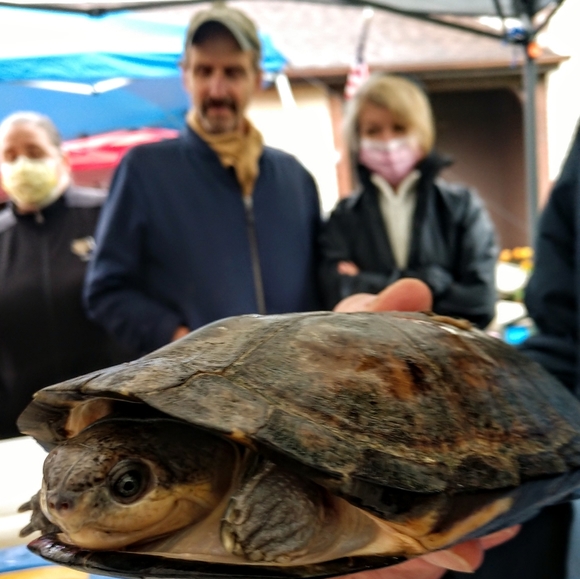 FUNDRAISER 4 RESCUE! - Picture 5 of 16